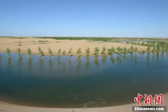 【聚焦】中國第七大沙漠治理:引黃河凌水“沙漠變綠洲”