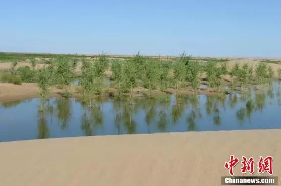 【聚焦】中國第七大沙漠治理:引黃河凌水“沙漠變綠洲”