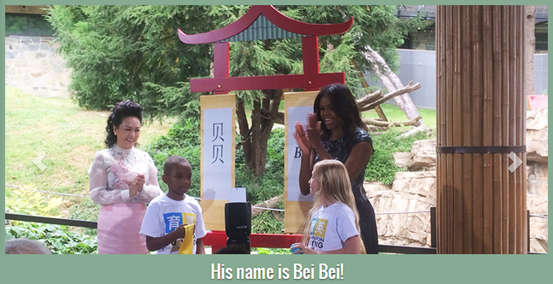 中美第一夫人共看熊貓！當中國牡丹遇到美國玫瑰